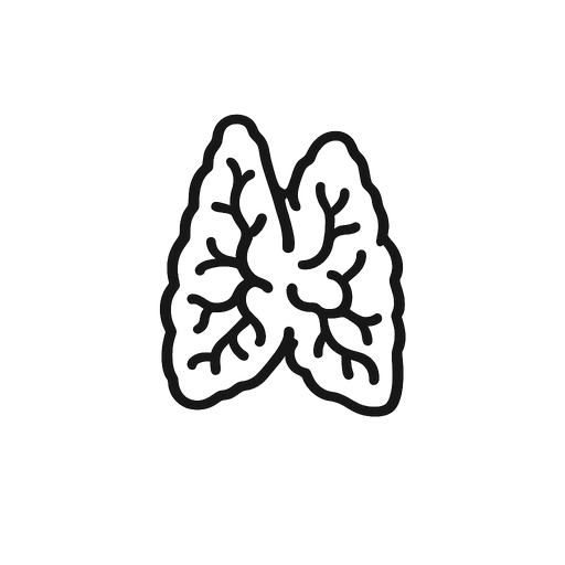 Thymus 장기 아이콘